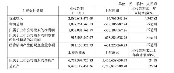 创盈配资 寒武纪, 营收大增4347%